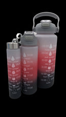 Kit C/ 3  GARRAFA MOTIVACIONAL - DIVERSAS CORES