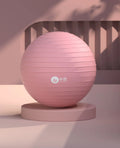 Bola de pilates e yoga.